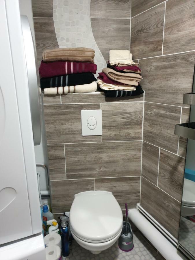 Residence Azur Sancy Fibre Orange Мон-Дор Екстер'єр фото